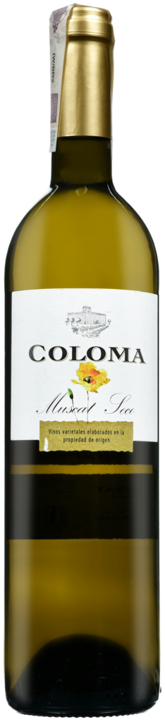 Wino Coloma Dry Muscat Extremadura VdlT 2020