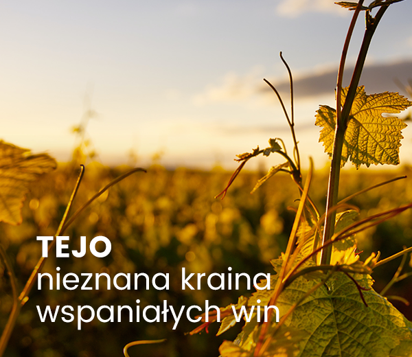 Tejo – nieznana kraina wspaniałych win
